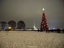 Новогодняя ёлка в Санкт-Петербурге на стрелке Васильевского острова