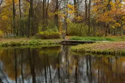 Золотая осень в Екатерининском парке
