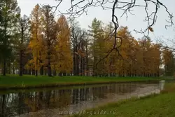 Золотая осень в Екатерининском парке, фото 33