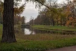 Золотая осень в Екатерининском парке, фото 2