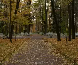 Золотая осень в Екатерининском парке, фото 11
