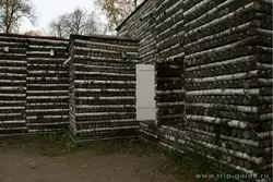 Берёзовый домик, Гатчина