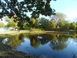 Карпиев пруд в Верхнем парке