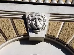 Лев на фасаде Академии наук в Санкт-Петербурге