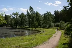 Ламские пруды в Александровском парке