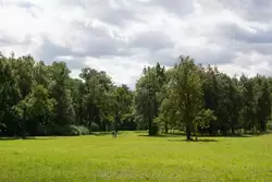 Луг в Александровском парке