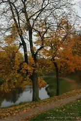 Золотая осень в Гатчине
